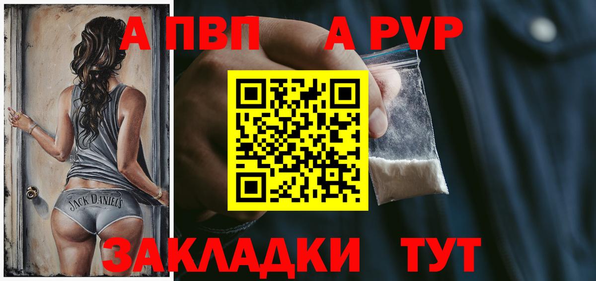 A PVP СК Зеленогорск