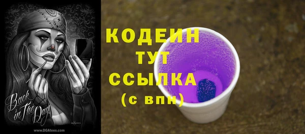 стафф Анжеро-Судженск
