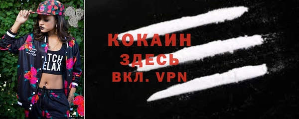 ешки Апатиты