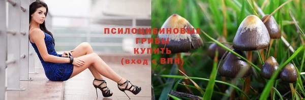 бутират Анива