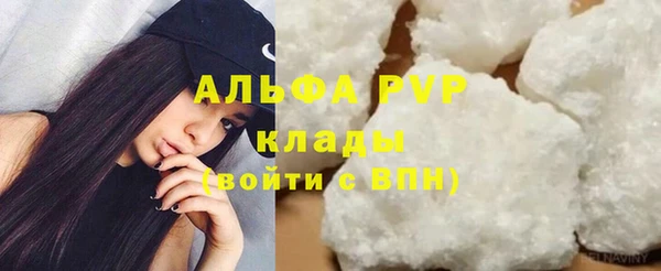 стафф Анжеро-Судженск