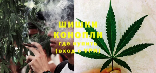 бутират Анива