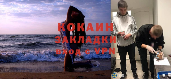 стафф Анжеро-Судженск