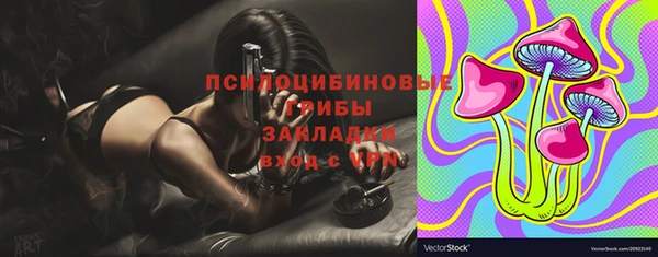 ешки Апатиты