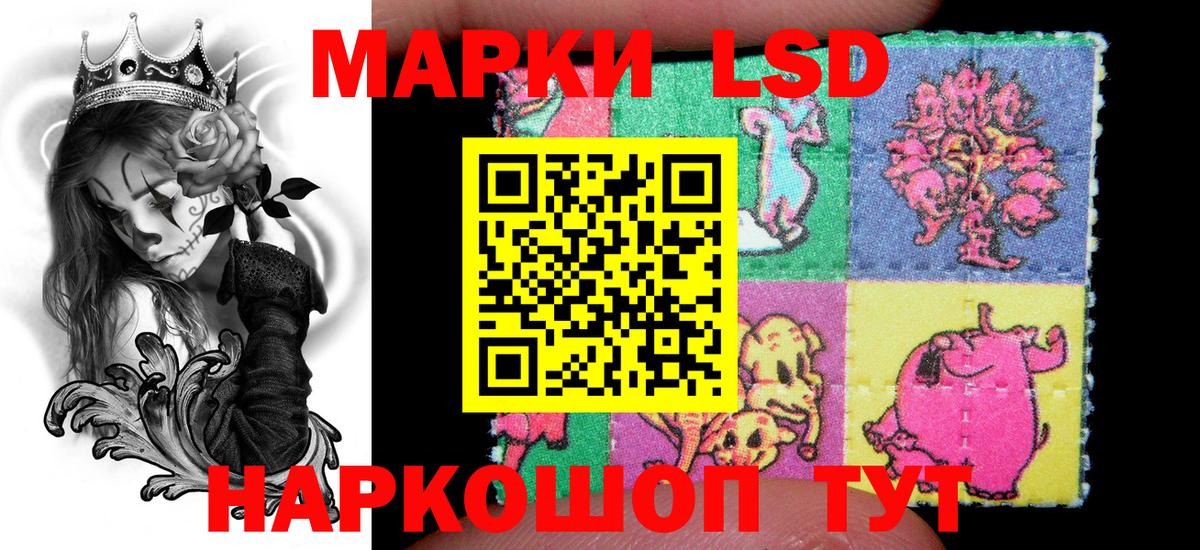 Зеленогорск  Наркотические марки  Вход с VPN  наркота  Наркотические марки 1500мкг 