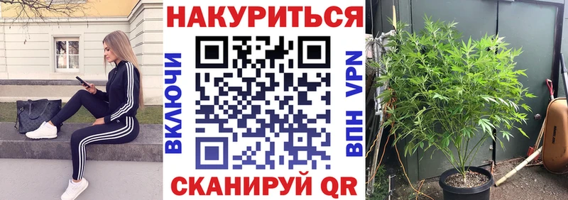 Шишки марихуана White Widow  omg зеркало  Зеленогорск  цены  